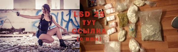 тгк Бородино
