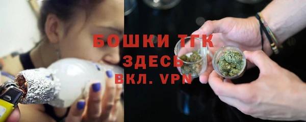 тгк Бородино