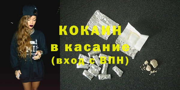 тгк Бородино