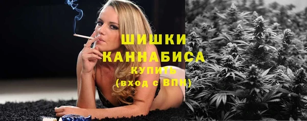 тгк Бородино