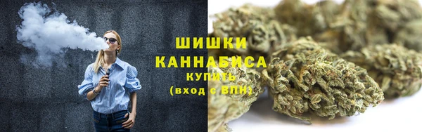 spice Дмитровск