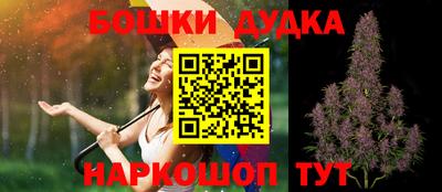 прущие грибы Новозыбков