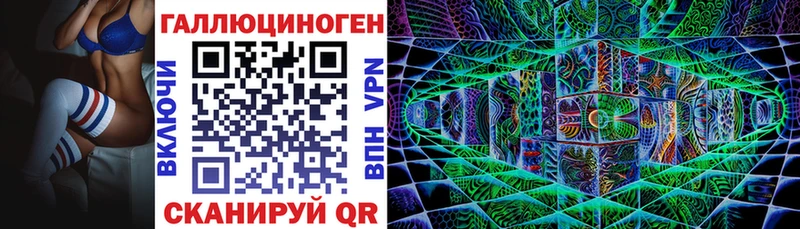 Галлюциногенные грибы Psilocybine cubensis  блэк спрут ссылка  Обь  что такое  