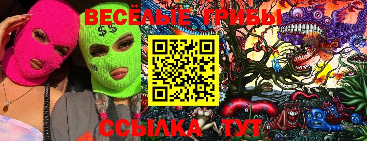 Псилоцибиновые грибы Psilocybe Обь