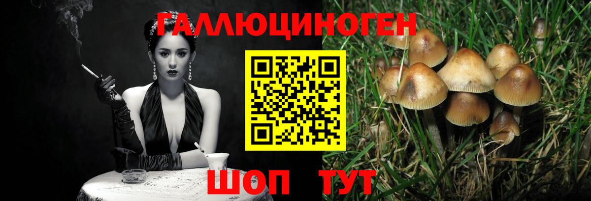 хочу   Псилоцибиновые грибы мицелий  Вход с VPN  Галлюциногенные грибы Psilocybe  Обь 